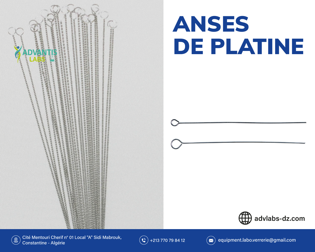 Anse de platine (Bout circulaire)